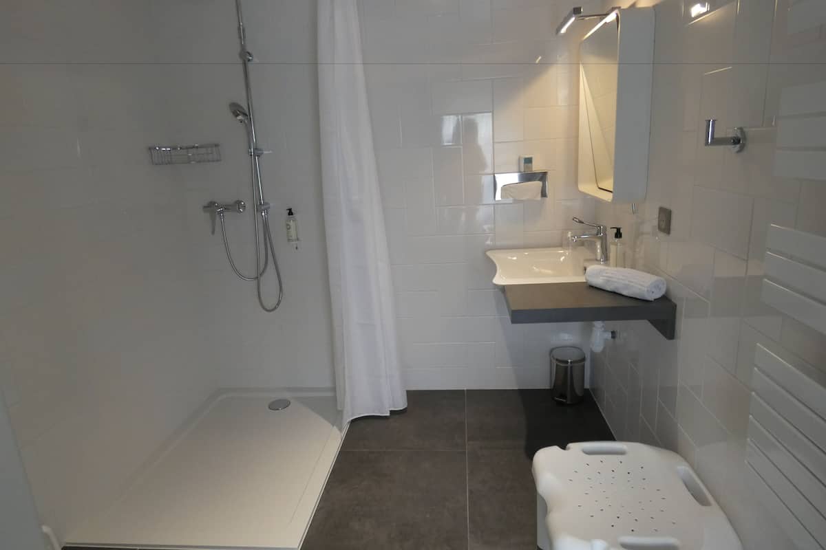 standard apartment, multiple beds, non smoking, kitchen (with sofabed) | bathroom | free toiletries, hair dryer, towels