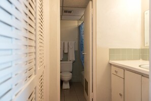 Ein schmales Badezimmer mit Toilette, Waschbecken und Duschvorhang.