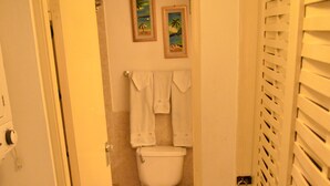 A narrow hallway leading to a bathroom with a toilet, two framed pictures on the wall, and a towel hanging on the wall. - Crystal Beach Studio (Montego Bay)