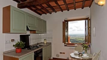 Appartamento, 1 camera da letto | Cucina privata | Piano cottura