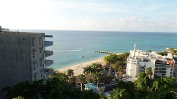 Vista desde la propiedad