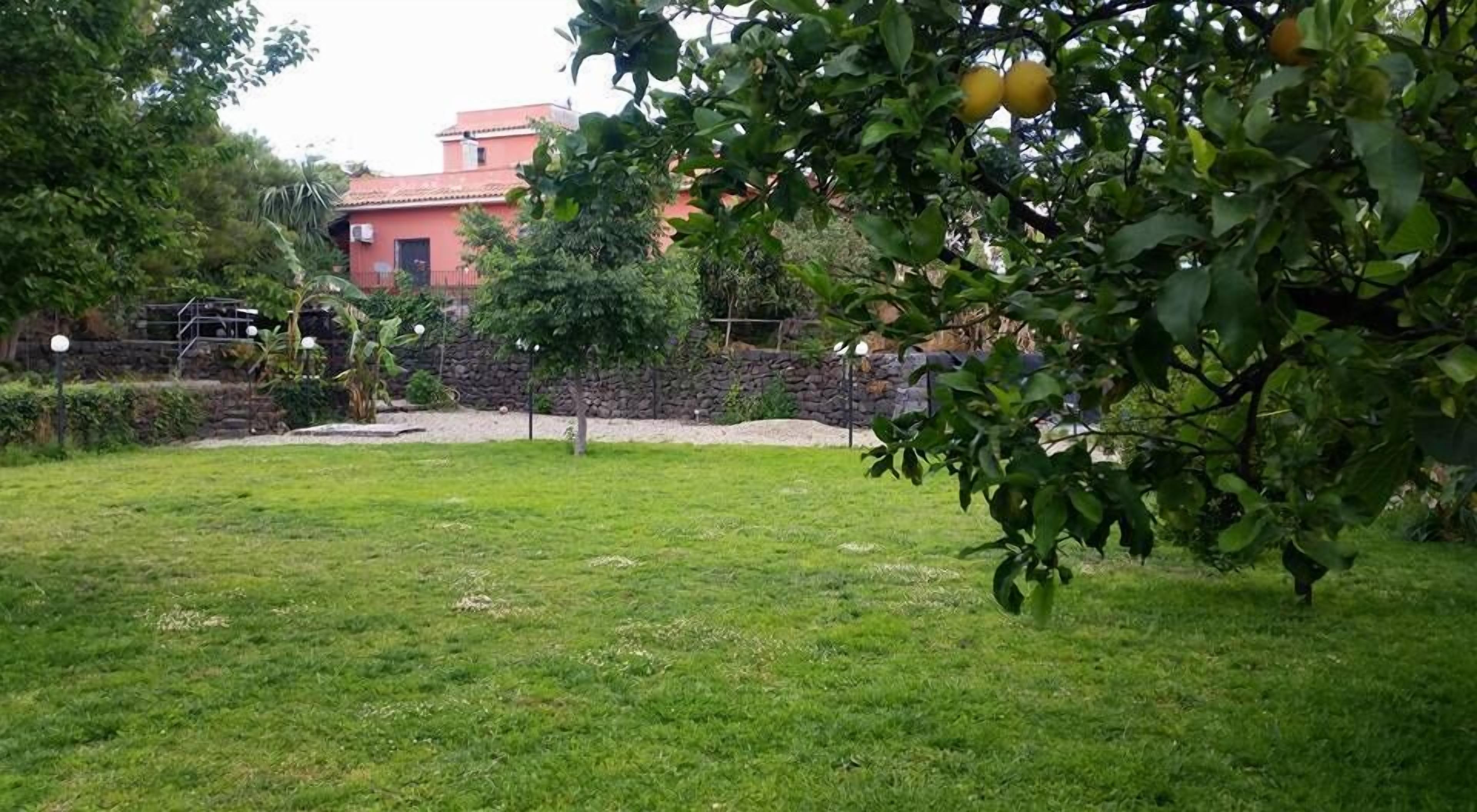 En gräsklädd gård med ett träd som bär frukt, en stenmur och en röd byggnad i bakgrunden.
