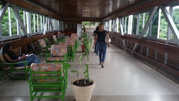 A covered walkway with green chairs and potted plants, leading to an open area with trees.