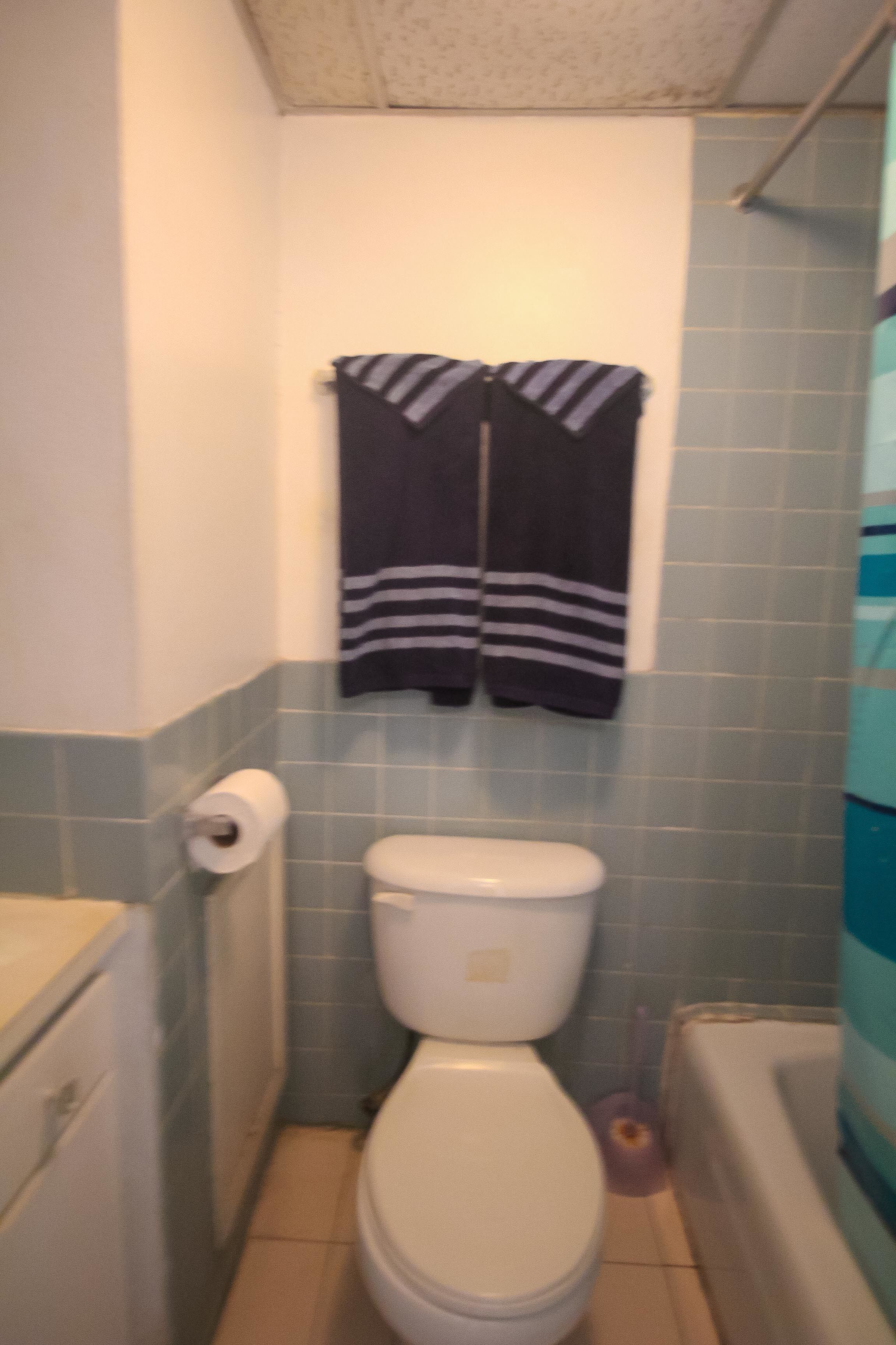 A small bathroom with a toilet, a roll of toilet paper, and a striped towel hanging on the wall.
