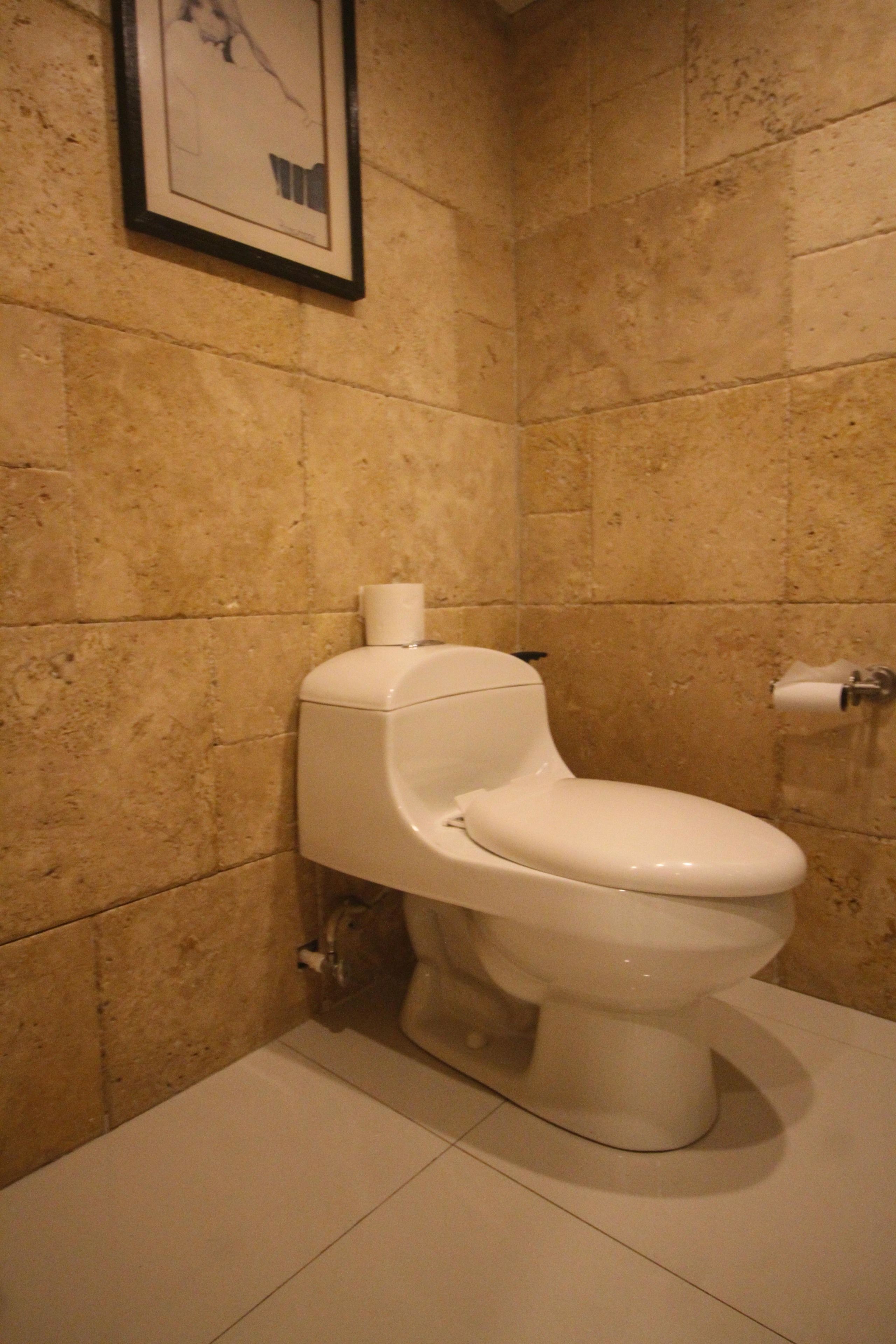 Een badkamer met een toilet, een ingelijst kunstwerk aan de muur en een toiletrol.