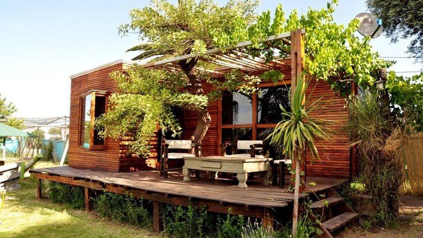Standard House (Small) - Sangiovese Club House (San Rafael)