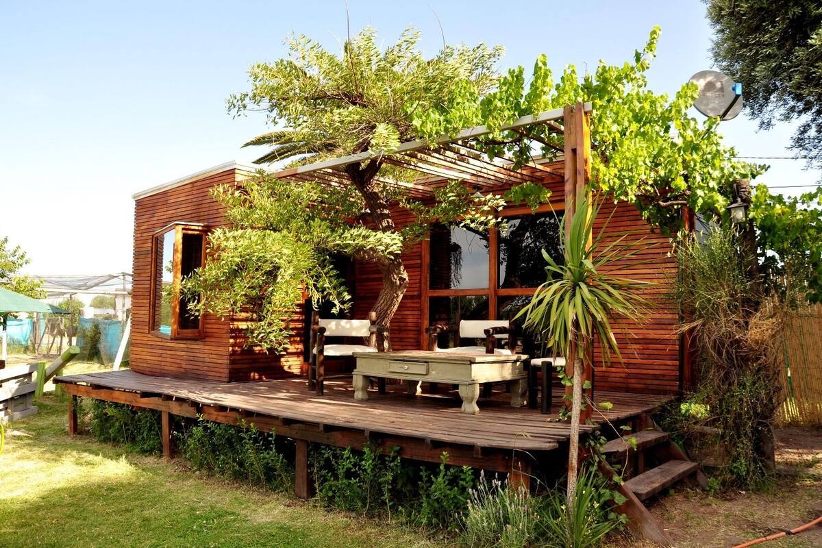 1 habitación, cunas gratuitas y camas plegables/adicionales gratuitas 