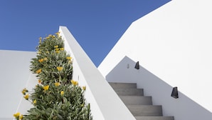 A white building with a staircase and a plant with yellow flowers. - Praia de Santos - Exclusive Guest House (Ponta Delgada)