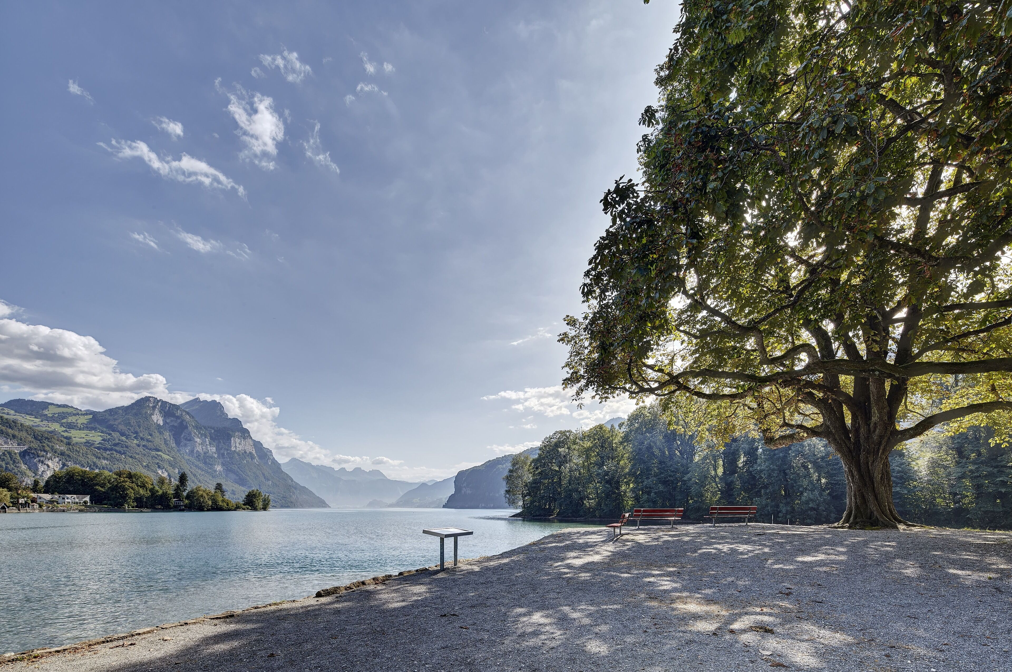 Ein Park am Seeufer mit einem großen Baum, Bänken und einem Tisch.