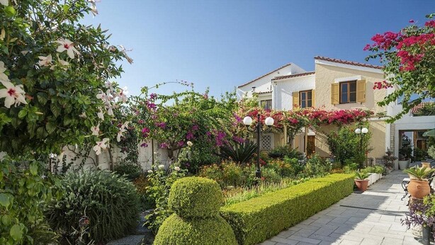 A courtyard with a neatly trimmed hedge, potted plants, and flowering vines. - Olympia Village (Samos)