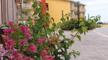 المنطقة المحيطة بالمنشأة