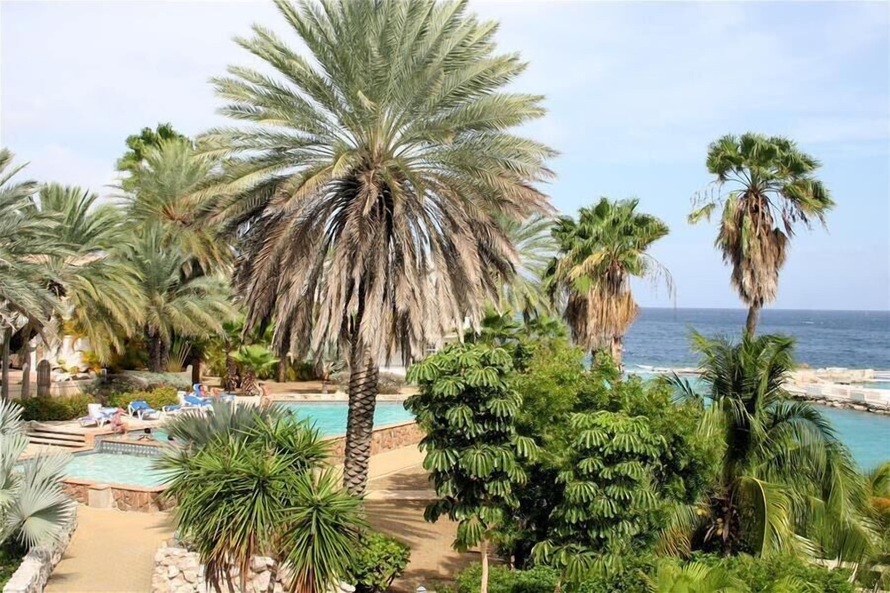 Utsikt fra overnattingsstedet