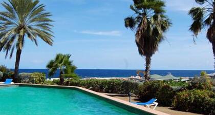 Ocean Resort Apartment Pelican