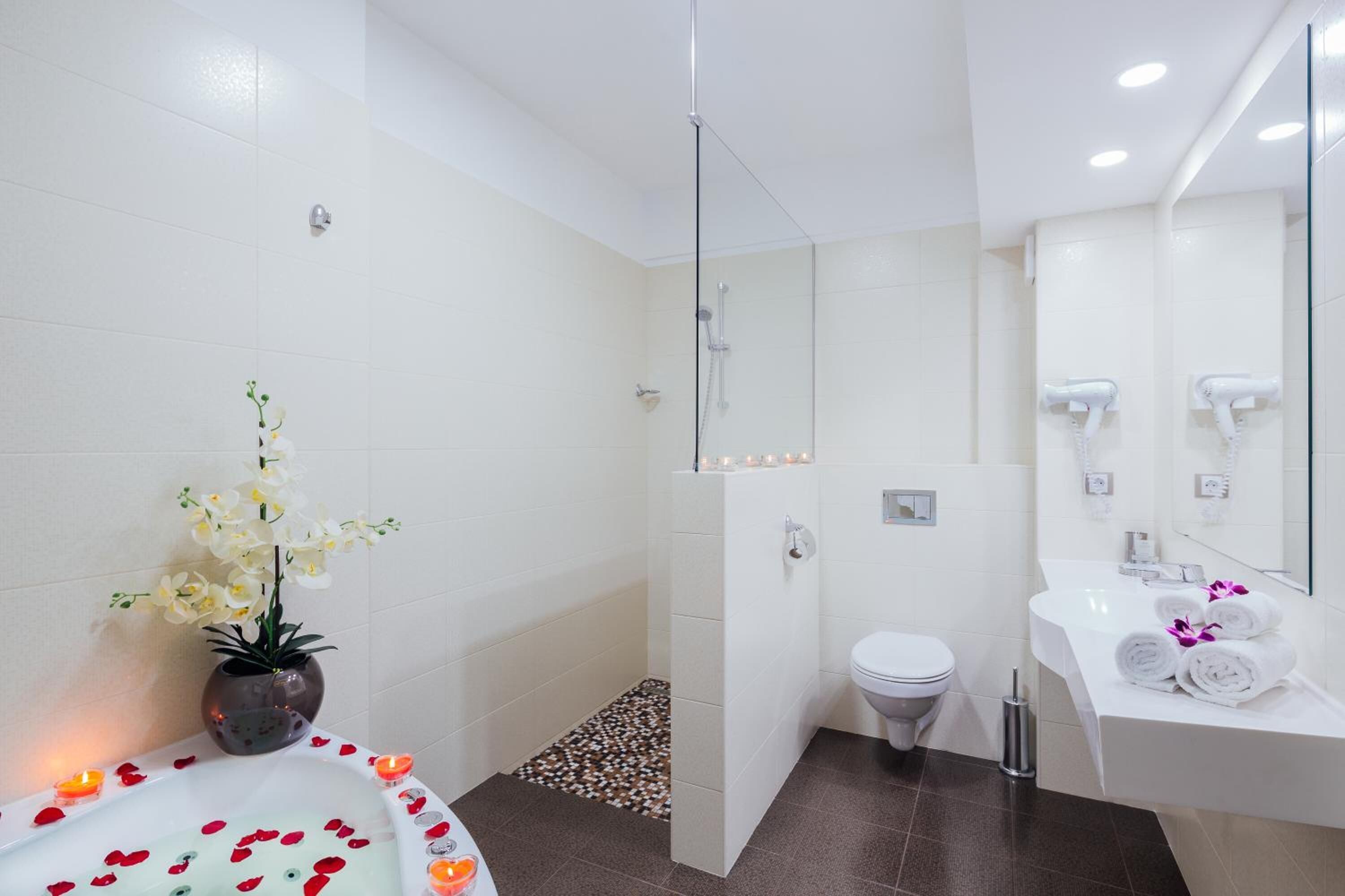 shower, free toiletries, hair dryer, towels