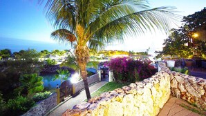 A stone wall, a palm tree, and a view of the ocean. - Ocean Resort Villa Condor (Willemstad)