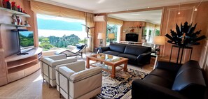 TV, DVD player - Villa le France 5 stars Vision Luxe 10 people 5 bedrooms Annecy (Veyrier-du-Lac)