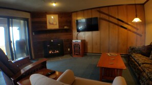 Televisión, chimenea y reproductor de DVD 