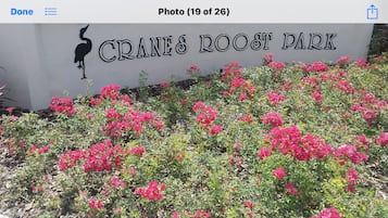 DĂ©tail de lâextĂ©rieur