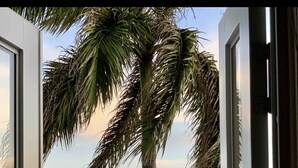 Vista a través de una puerta abierta, con una palmera y un edificio de techo rojo al fondo.