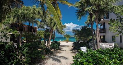 Romantic Oceanview Escape -- Private Balcony Views -- Close to Sapphire Beach