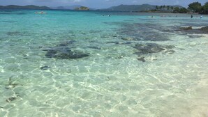 Ein klares, türkisblaues Meer mit sichtbaren Felsen unter der Wasseroberfläche und einem Sandstrand.