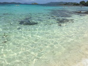 Sulla spiaggia, teli da spiaggia