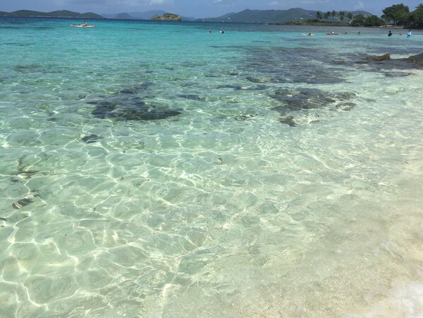 På stranden og strandhåndklær