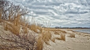 A beach with sand dunes and sparse vegetation. - Luxury Condo - Vofp - "Featured in Delaware Today" (Lewes)