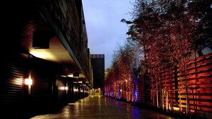 Calle urbana nocturna con pavimento mojado, iluminada por farolas y luces decorativas en los árboles.
