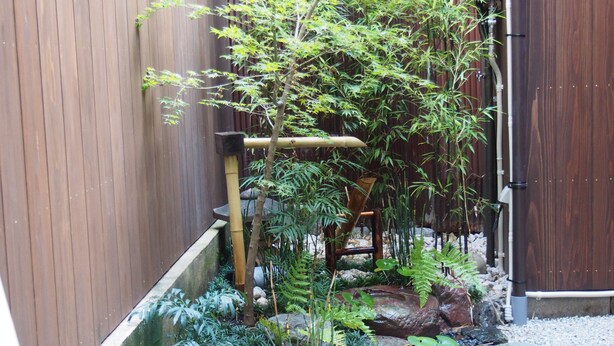 未分類圖片，第 1 張 (共 63 張)，按鈕