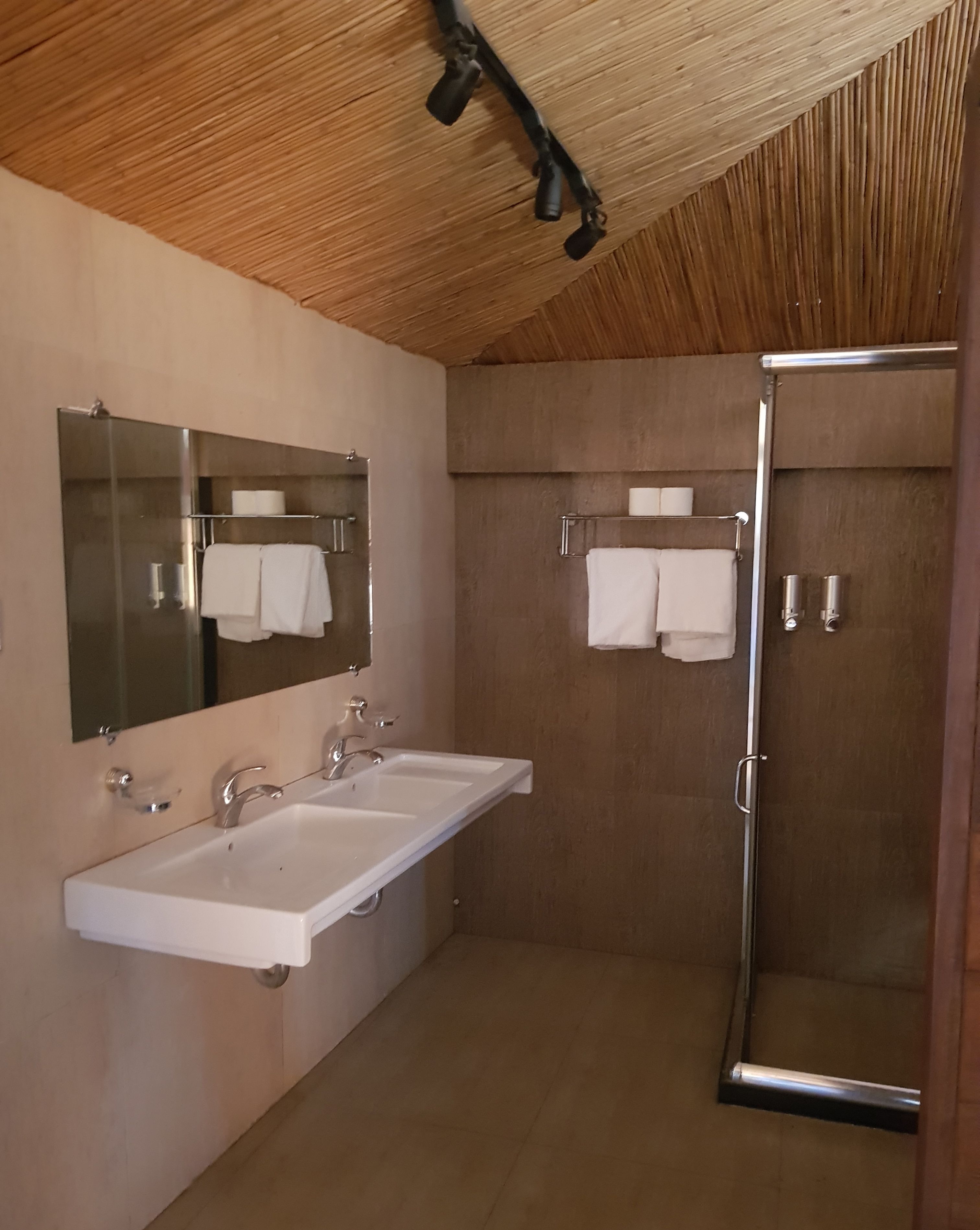 A modern bathroom with a wooden ceiling, a glass shower enclosure, and a double sink with a large mirror.