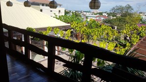 Un balcón con barandilla de madera, plantas en macetas y vistas a edificios y árboles a lo lejos.