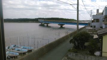 Vista desde la propiedad