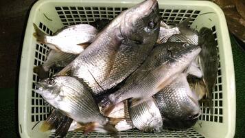 Una cesta llena de pescado.