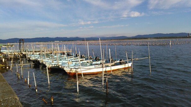 A marina with several boats docked, a pier extending into the water, and a distant mountain range.