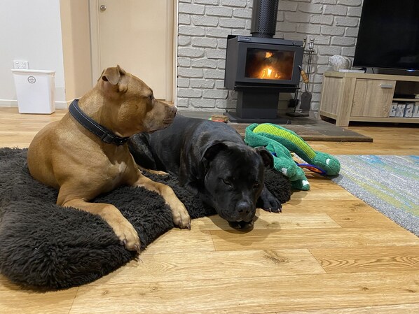 Nhà, 3 phòng ngủ | Bàn ủi/dụng cụ ủi quần áo, truy cập Internet không dây miễn phí 