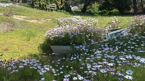 A garden with a variety of flowers and a bench. - 90 Mile Beach House & Villas (Golden Beach)