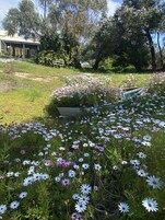 Villa 1 | Terrace/patio