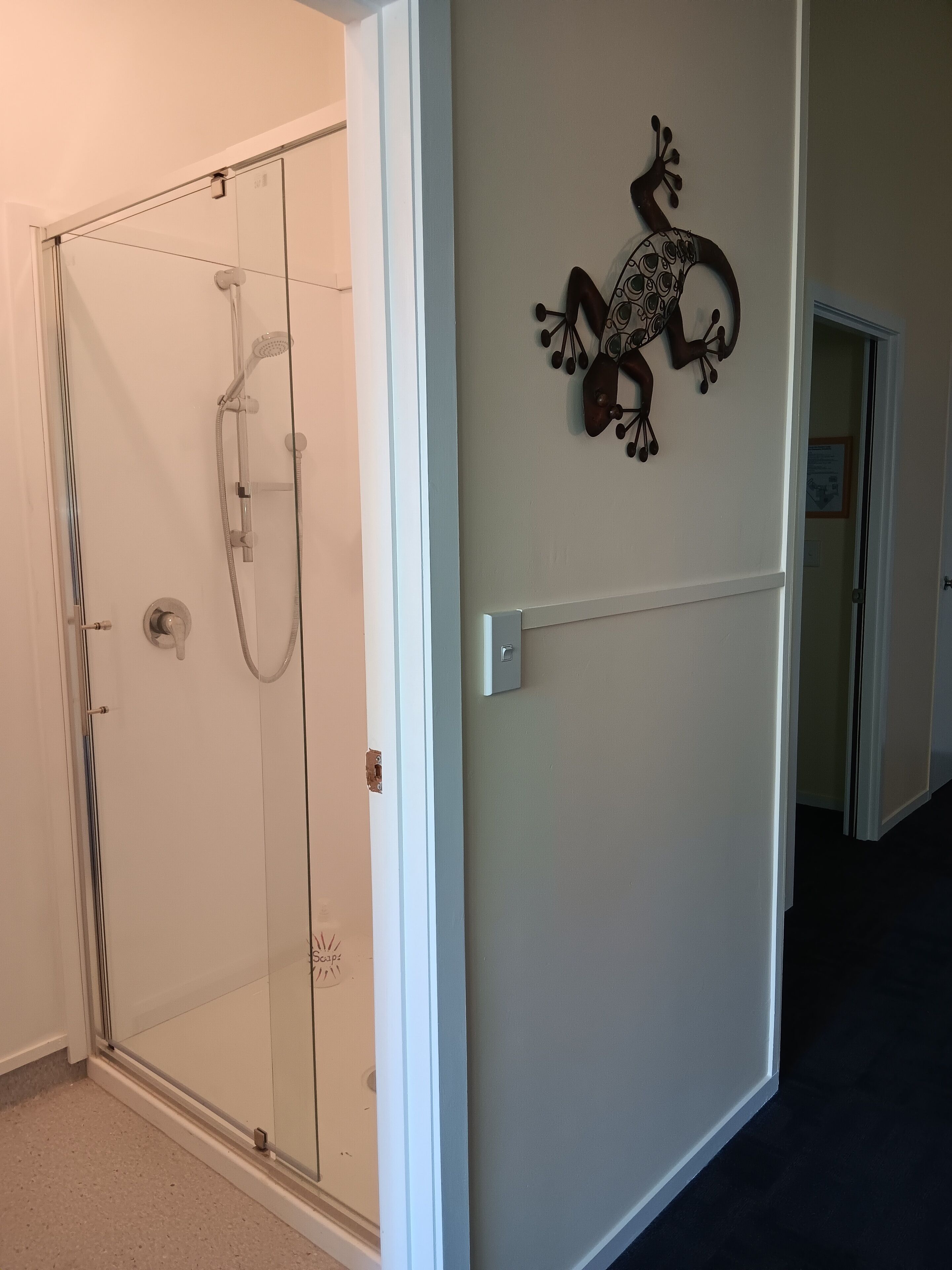 Un pasillo con puerta de vidrio para ducha, un adorno metálico en la pared y una puerta que da a otra habitación.