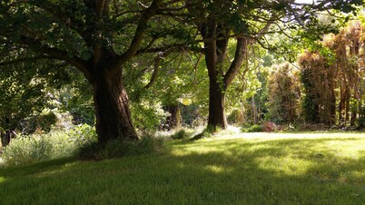 Purple Hen Country Lodge