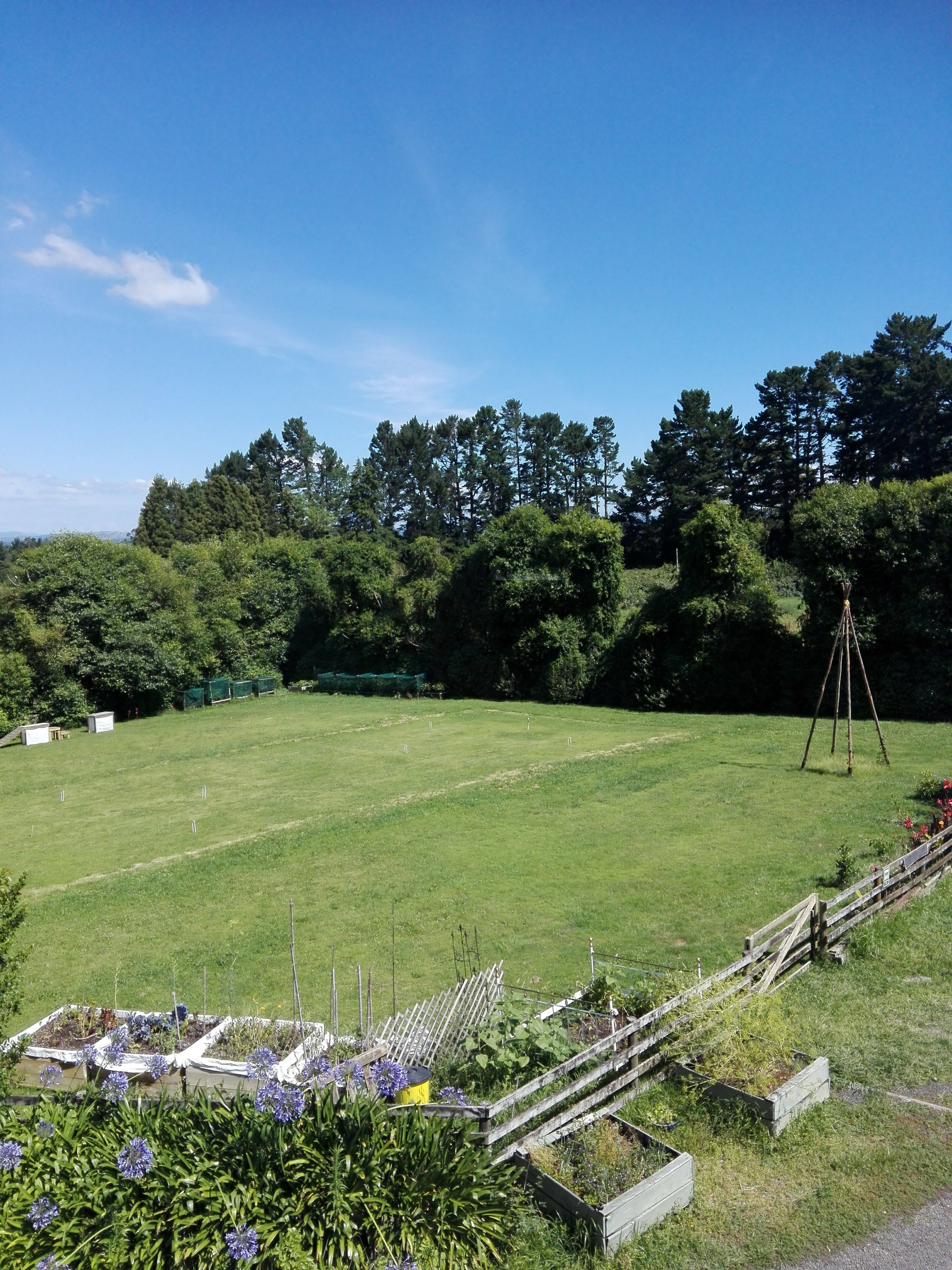 Purple Hen Guest House