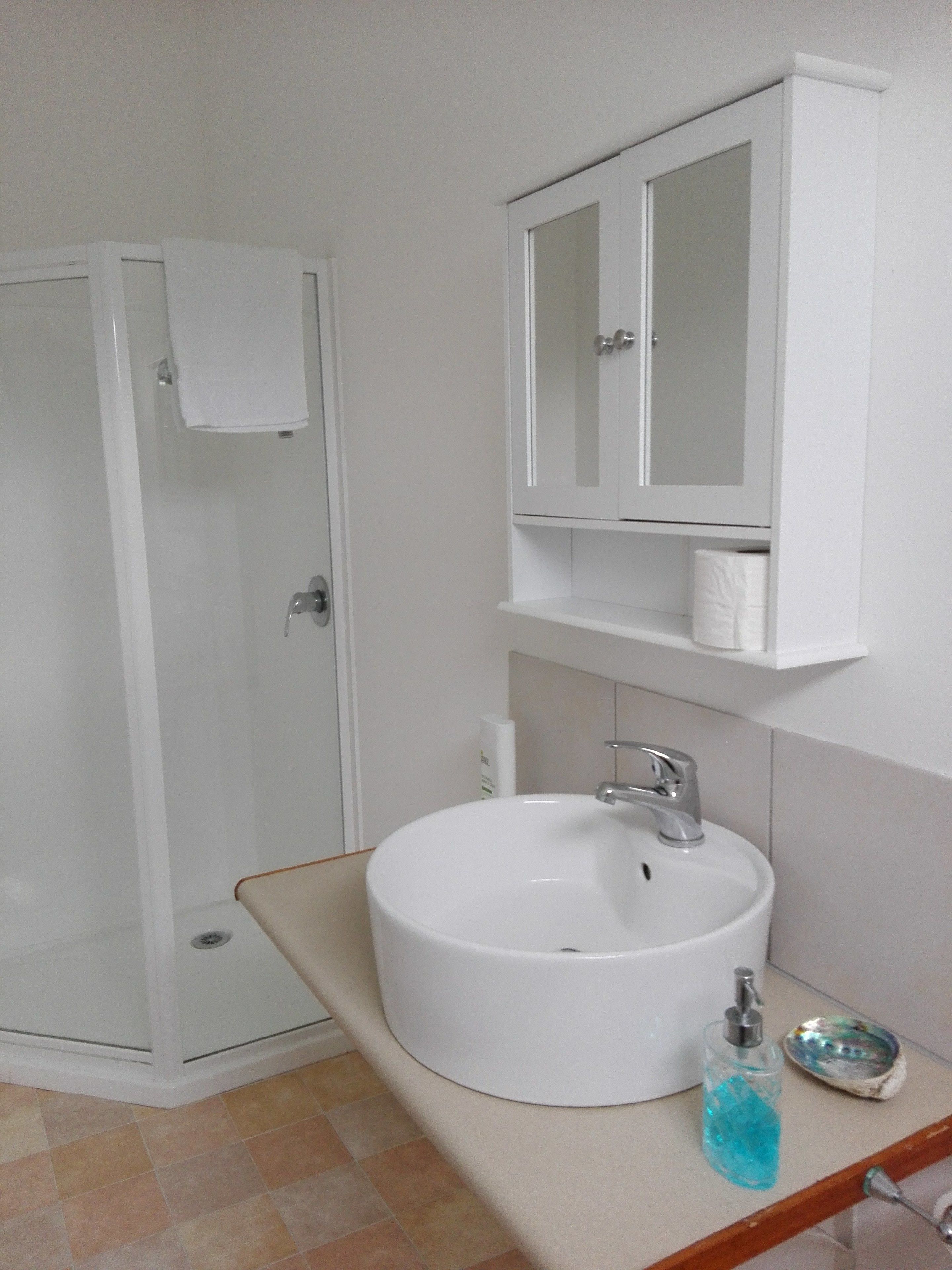 A bathroom with a white sink, a mirror above it, a shower enclosure, and a toilet paper holder on the wall.
