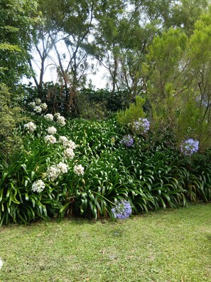 Blick auf den Garten