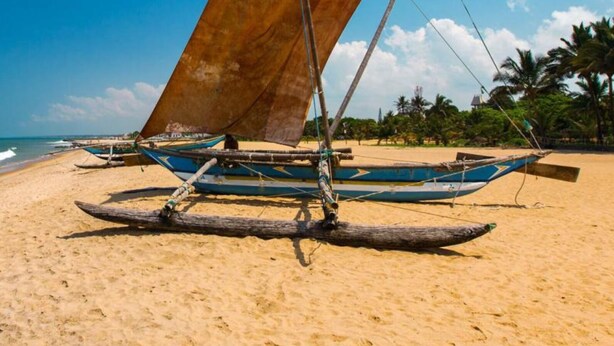 Un bateau traditionnel à voile, échoué sur une plage de sable, entouré de palmiers et bordé par l’océan.