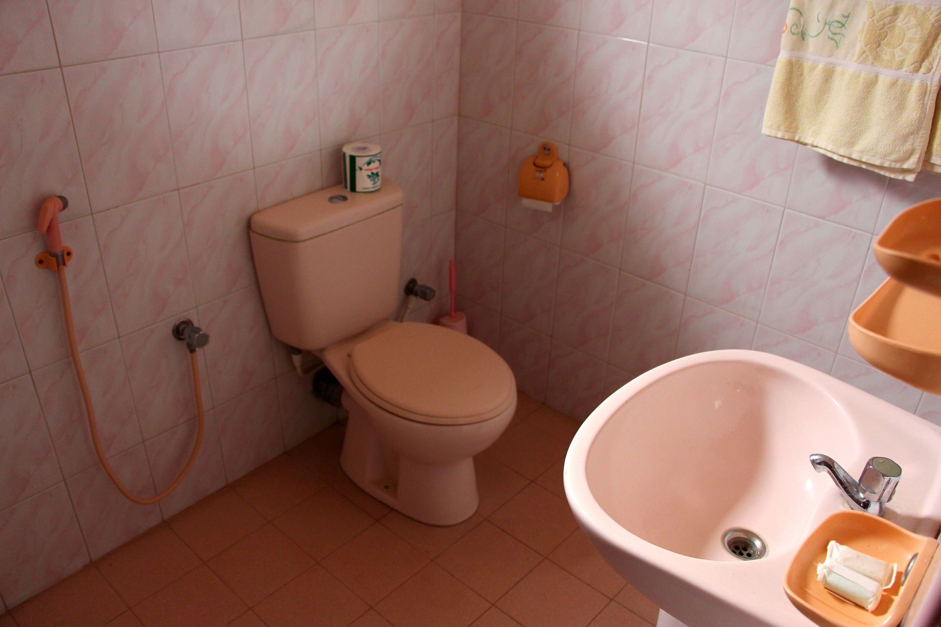 Photo - Holiday Guest Inn