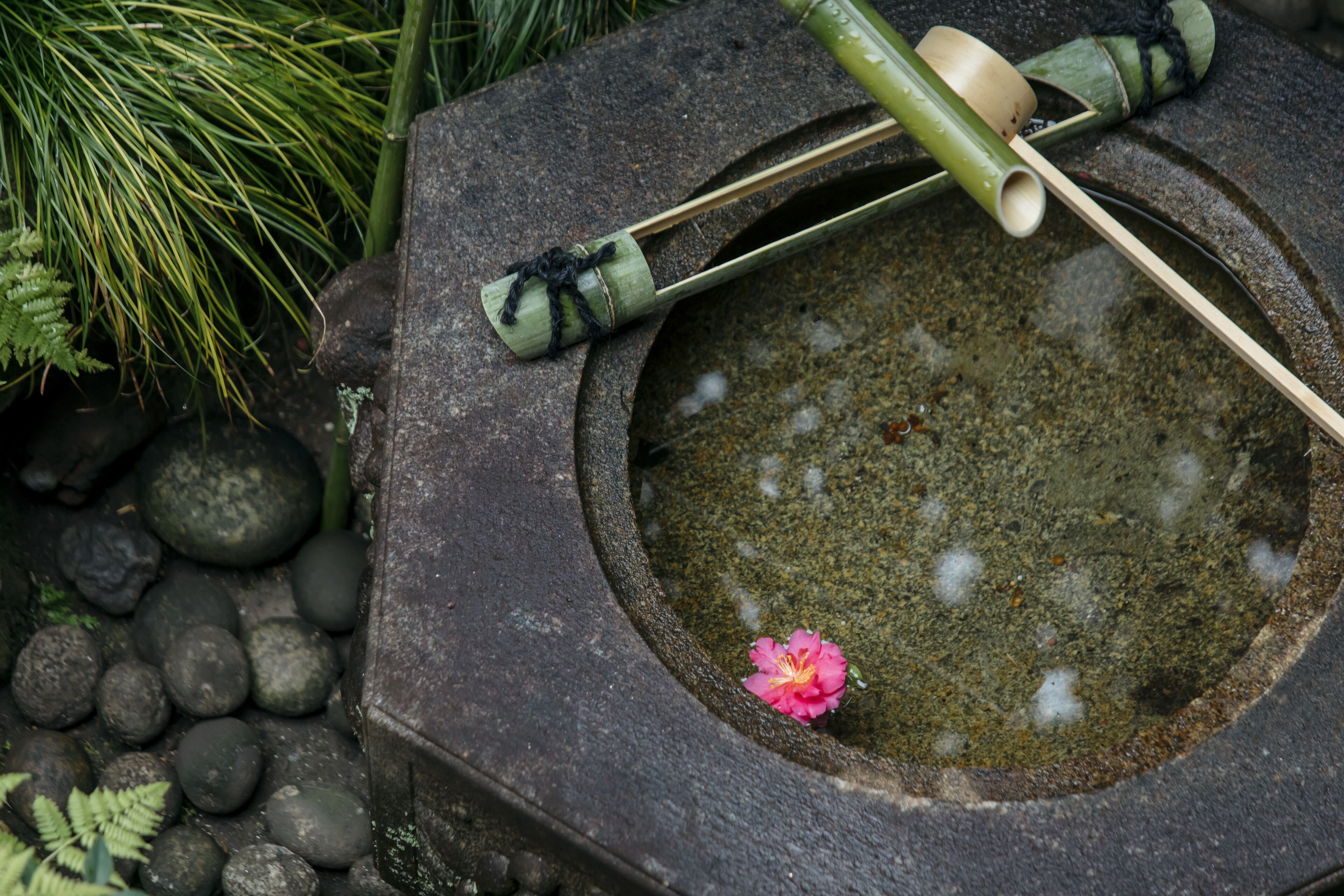 Foto - Toshiharu Ryokan