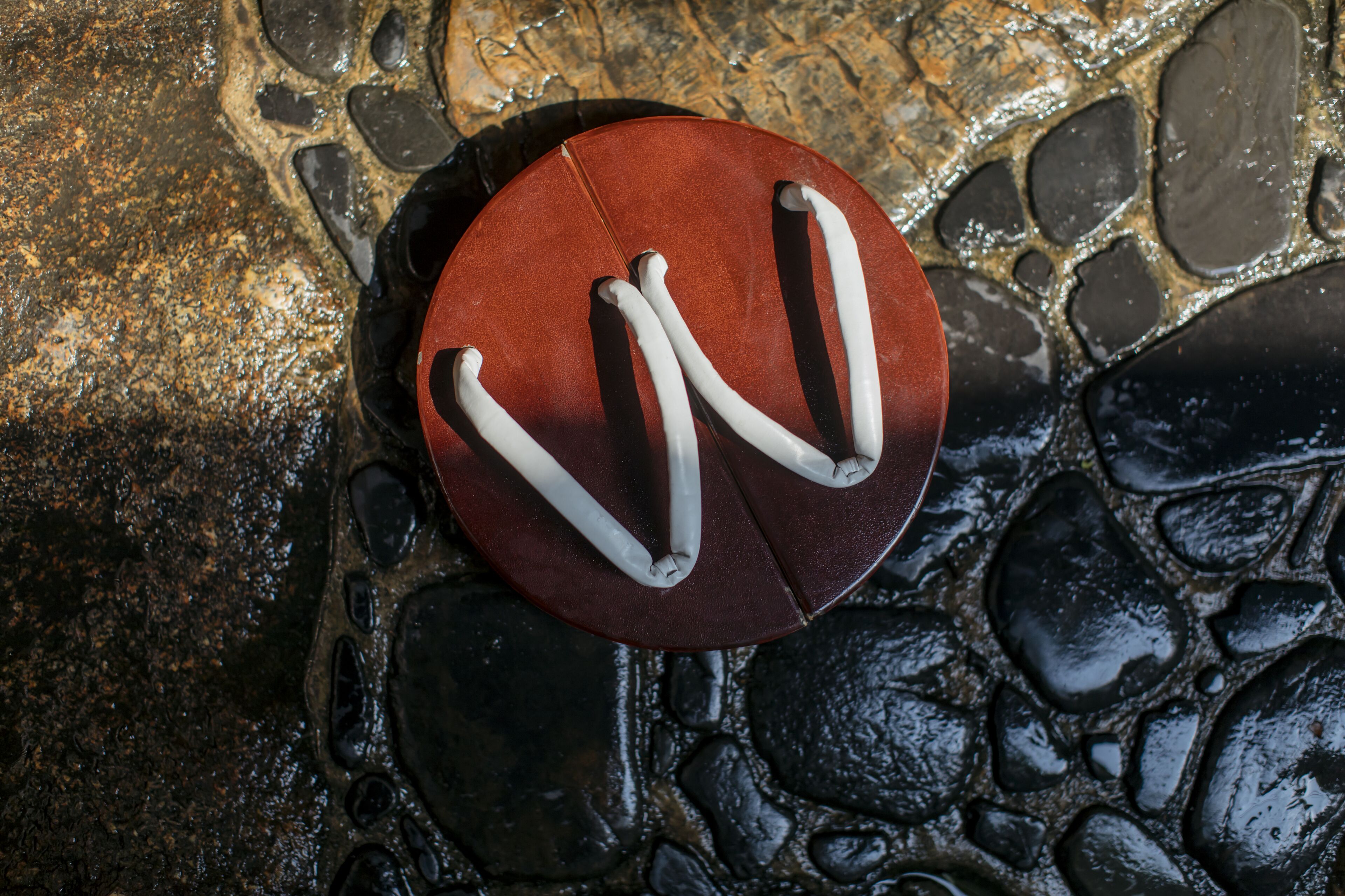 Foto - Toshiharu Ryokan