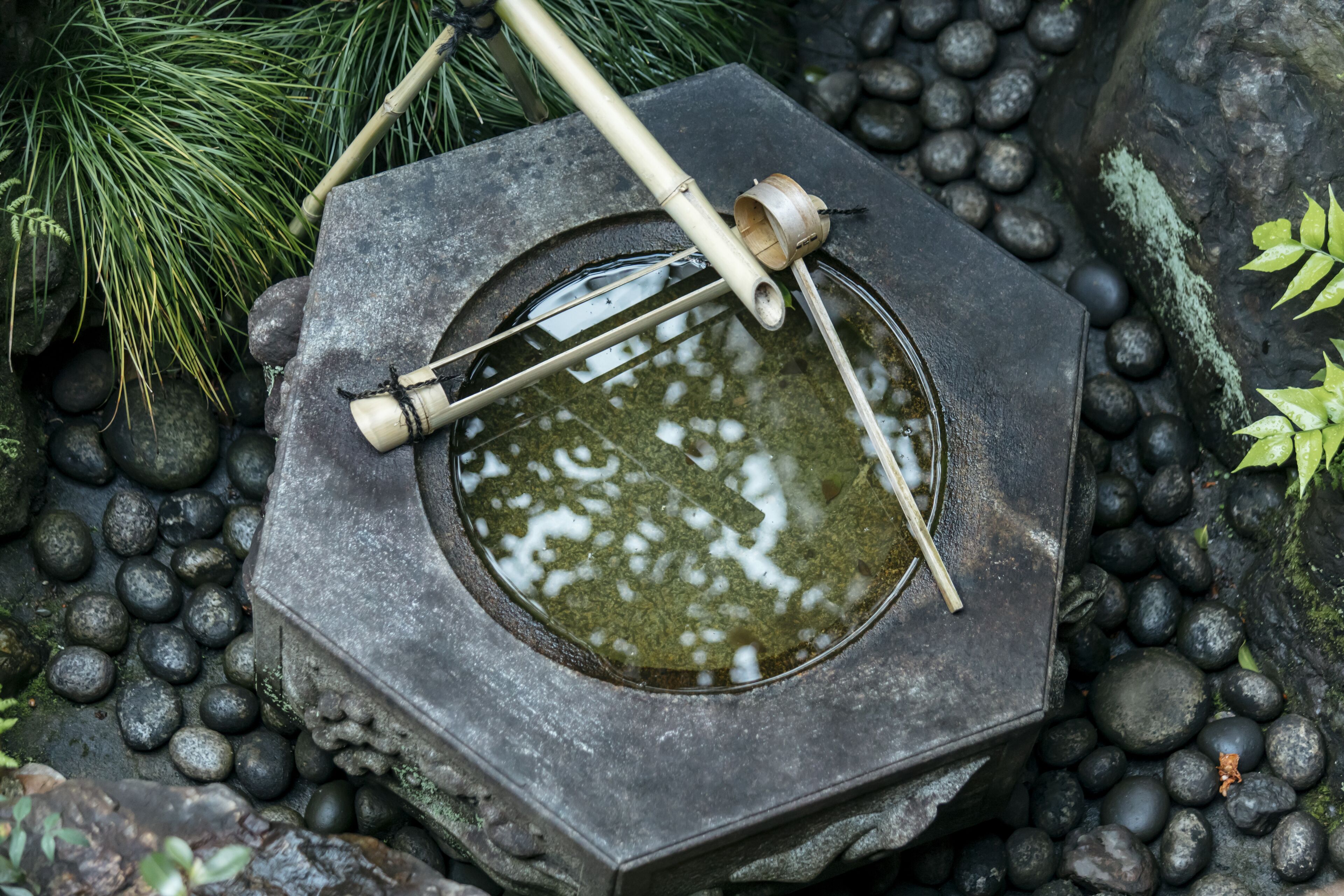 Foto - Toshiharu Ryokan