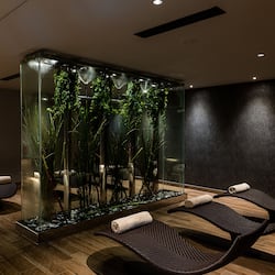 Couples treatment rooms, sauna, steam room, body treatments