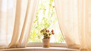 Une fenêtre avec des rideaux légers et une plante en pot ornée de fleurs.